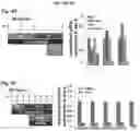 Fig. 06 - COMPOSITIONS AND METHODS FOR PRECISE PATTERNING OF POSTERIOR NEUROECTODERM FROM HUMAN PLURIPOTENT STEM CELLS