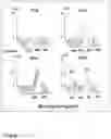 Fig. 09 - Silicon-based thin films from N-alkyl substituted perhydridocyclotrisilazanes