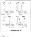 Fig. 10 - Silicon-based thin films from N-alkyl substituted perhydridocyclotrisilazanes