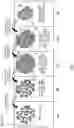 Fig. 05 - Methods, processes, and apparatuses for producing dyed and welded substrates