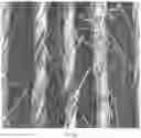 Fig. 35 - Methods, processes, and apparatuses for producing dyed and welded substrates