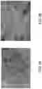 Fig. 04 - Method of preparing polyester elastomer meltblown nonwoven fabric membrane with porous and high bonding strength