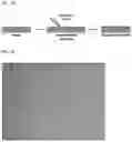 Fig. 02 - BIOMIMETIC PLATFORMS TO MODEL VASCULAR PATHOPHYSIOLOGY, DIAGNOSTICS, AND THERAPY