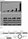 Fig. 08 - BIOMIMETIC PLATFORMS TO MODEL VASCULAR PATHOPHYSIOLOGY, DIAGNOSTICS, AND THERAPY
