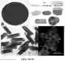 Fig. 09 - BIOMIMETIC PLATFORMS TO MODEL VASCULAR PATHOPHYSIOLOGY, DIAGNOSTICS, AND THERAPY