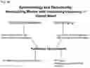 Fig. 22 - BIOMIMETIC PLATFORMS TO MODEL VASCULAR PATHOPHYSIOLOGY, DIAGNOSTICS, AND THERAPY