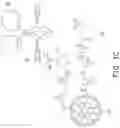 Fig. 03 - IRREVERSIBLE AND COVALENT METHOD FOR IMMOBILIZING GLYCOPROTEIN
