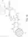 Fig. 04 - IRREVERSIBLE AND COVALENT METHOD FOR IMMOBILIZING GLYCOPROTEIN