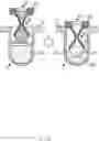 Fig. 08 - Observation vessel, sample preparation method, and observation method