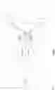 Fig. 06 - HOLOGRAPHIC HEAD-UP DISPLAY SYSTEM