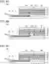 Fig. 09 - Display device