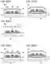 Fig. 83 - Display device