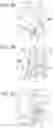 Fig. 09 - Image forming apparatus