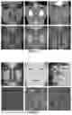 Fig. 02 - Irreversible digital fingerprints for preserving object security