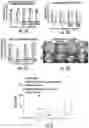 Fig. 06 - Methods for automated detection of cervical pre-cancers with a low-cost, point-of-care, pocket colposcope