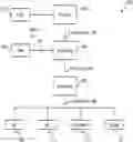 Fig. 01 - INTEGRATED, MOLECULAR, OMICS, IMMUNOTHERAPY, METABOLIC, EPIGENETIC, AND CLINICAL DATABASE