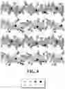 Fig. 06 - Nitrogen-doped phosphoric acid fuel cell electrolyte