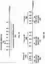 Fig. 08 - Resource management for beam failure recovery procedures