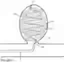 Fig. 34 - Micro-macro endovascular occlusion device and methodology
