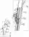 Fig. 07 - Guidewire manipulator