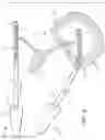 Fig. 06 - Surgical devices controllable by surgical robotic systems