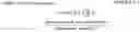 Fig. 02 - Dentifrice compositions comprising tin ions