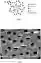 Fig. 02 - Oral care product formulation