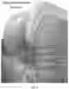 Fig. 03 - Oral care product formulation
