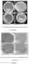 Fig. 49 - Coated drug compositions and methods of preparing the same