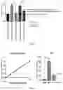 Fig. 06 - Compositions and methods for ameliorating pain and reducing fever