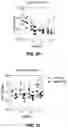 Fig. 16 - Composition and methods for treating articulating joint disorders with nucleoside reverse transcriptase inhibitors
