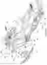 Fig. 02 - SNOWMOBILE HAVING AN AIR-COOLED CONTINUOUSLY VARIABLE TRANSMISSION