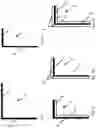 Fig. 06 - ARRANGEMENT FOR SECURING PLATE-LIKE MATERIAL