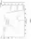 Fig. 02 - GRAPHITIC MATERIALS
