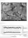 Fig. 06 - Porous silica particle composition