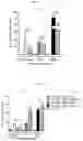 Fig. 02 - Brachyury deletion mutants, non-yeast vectors encoding brachyury deletion mutants, and their use