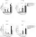 Fig. 03 - Brachyury deletion mutants, non-yeast vectors encoding brachyury deletion mutants, and their use