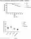 Fig. 20 - Trail compositions with reduced immunogenicity