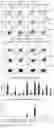 Fig. 04 - BINDING PROTEINS SPECIFIC FOR HA-1H AND USES THEREOF
