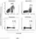 Fig. 02 - T-Cell Receptors and Uses Thereof