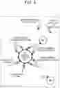 Fig. 04 - ANTIBODY COMPOSITION