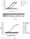 Fig. 08 - VISTA ANTIGEN-BINDING MOLECULES