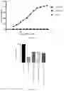 Fig. 37 - VISTA ANTIGEN-BINDING MOLECULES