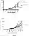Fig. 43 - VISTA ANTIGEN-BINDING MOLECULES