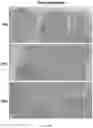 Fig. 82 - VISTA ANTIGEN-BINDING MOLECULES