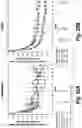 Fig. 28 - METHODS FOR TREATING OR PREVENTING ASTHMA BY ADMINISTERING AN IL-4R ANTAGONIST