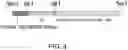 Fig. 04 - ANTIBODY SUBSTITUTING FOR FUNCTION OF BLOOD COAGULATION FACTOR VIII