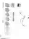 Fig. 02 - Deterministic Culturing of Single Cells
