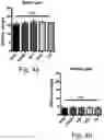 Fig. 06 - Cell Culture Surface Compositions, Systems, and Methods