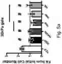 Fig. 07 - Cell Culture Surface Compositions, Systems, and Methods